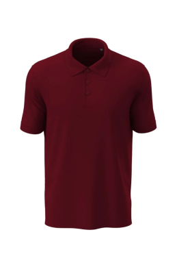 Футболка поло мужская ST9060 бордовый (BOD) STEDMAN LUX POLO (5137929) Футболка поло мужская ST9060 бордовый (BOD) STEDMAN LUX POLO (5137929) фото 5