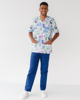 Медицинский костюм с принтом мужской Гранит Динозавры синий/белый 131-322-859 (6613727) Медицинский костюм с принтом мужской Гранит Динозавры синий/белый 131-322-859 (6613727) фото 1