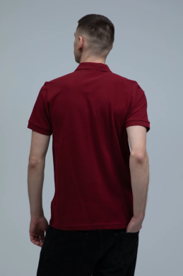 Футболка поло мужская ST9060 бордовый (BOD) STEDMAN LUX POLO (5137929) Футболка поло мужская ST9060 бордовый (BOD) STEDMAN LUX POLO (5137929) фото 4