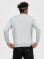 Свитшот UNISEX с начесом U-0301 серый (5110310) Свитшот UNISEX с начесом U-0301 серый (5110310) фото 8