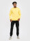Свитшот UNISEX с начесом U-0301 желтый (5110235) Свитшот UNISEX с начесом U-0301 желтый (5110235) фото 3
